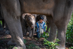Teerapong Sakdamrongsri (Non Chai), the founder and owner of Elephant Freedom Village, plays with two-year-old Sierra.