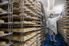 Miyoko's Creamery founder Miyoko Schinner poses in a refrigerated room full of aging cashew cheeses.