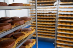 A variety of vegan cashew cheeses age in a refrigerated room at Miyoko's Creamery.