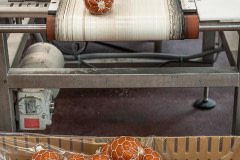 Tofurky plant-based ham style roasts roll through machines and along converyor belts to be packaged and shipped worldwide.