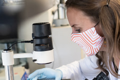 TurtleTree's Scientific Affairs Liaison, Vanessa Castagna, examines a tray of cell cultures using an inverted microscope.
