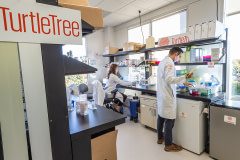 TurtleTree scientist Vanessa Castagna working alongside the team's Head of Product, Ignacio Vargas.