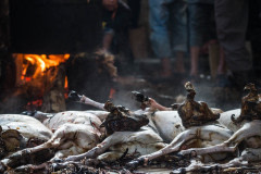 Carcasses at Dakshinkali Temple. Nepal, 2017.