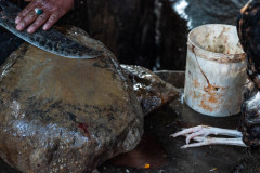 A knife being sharpened at the temple's butchery.