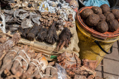 A muti market, where animal parts are sold for traditional and medicinal purposes. South Africa, 2016.