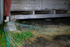 A dead gull lies tangled in a net amid feces accumulated under mink cages on a fur farm. This method of bird control causes unnecessary suffering and slow death for the birds. Korsnas, Finland, 2023. Oikeutta elaimille / We Animals