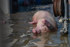 Stefano Bellachi, Italy, 2023