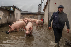 Selene Magnolia / Essere Animali, Italy, 2023