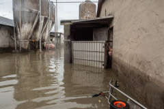 Selene Magnolia / Essere Animali, Italy, 2023