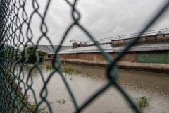 Selene Magnolia / Essere Animali, Italy, 2023