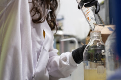 Prachi Jha empties a flask of mycelium into a jar for testing purposes.