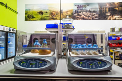 Shaker flasks run as part of an experiment to determine optimal myceliual growth conditions.