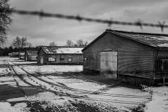 Inside these windowless sheds at a chicken farm, over a million broiler hens endure their short lives. Germany, 2015. Timo Stammberger / HIDDEN / We Animals