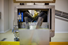 The weakest chicks aren’t considered profitable and are thrown away along with their shells, left to die in trash bins. Spain, 2011. Luis Tato / HIDDEN / We Animals