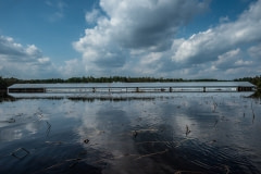 Industrial farm surrounded by flood water in North Carolina.