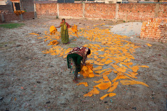 Two women gather dried hides at sundown. In Hazaribagh, the quarter of Dhaka which is known for its tanneries, many families depend on leftover hides from large companies to independently use or sell them.