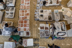 Overhead view of fish for sale at the largest fish auction in Greece.