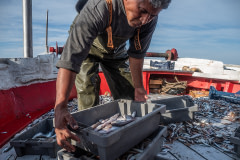 Workers onboard the fishing boat Fasilis sort the catch by type, dividing it between fish with commercial value and useless by-catch.