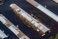 Aerial view of a CAFO farm surrounded by flood waters in Duplin County.