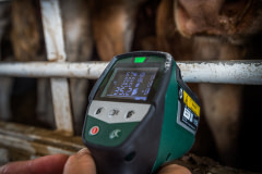 It is illegal for animals to be transported in heat over 30 degrees.