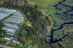 A mink fur farm and algae bloom on nearby water way in Nova Scotia.