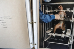 A binder of images and text about animal use in labs. USA, 2008.