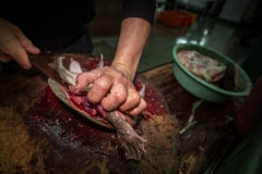 A worker cuts off a shell while turtle is still alive at a market in Taiwan.