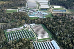 Massive fur farms. Canada, 2014.
