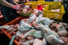 Vendor chops newly-delivered chicken carcasses at a wet market in Taipei.