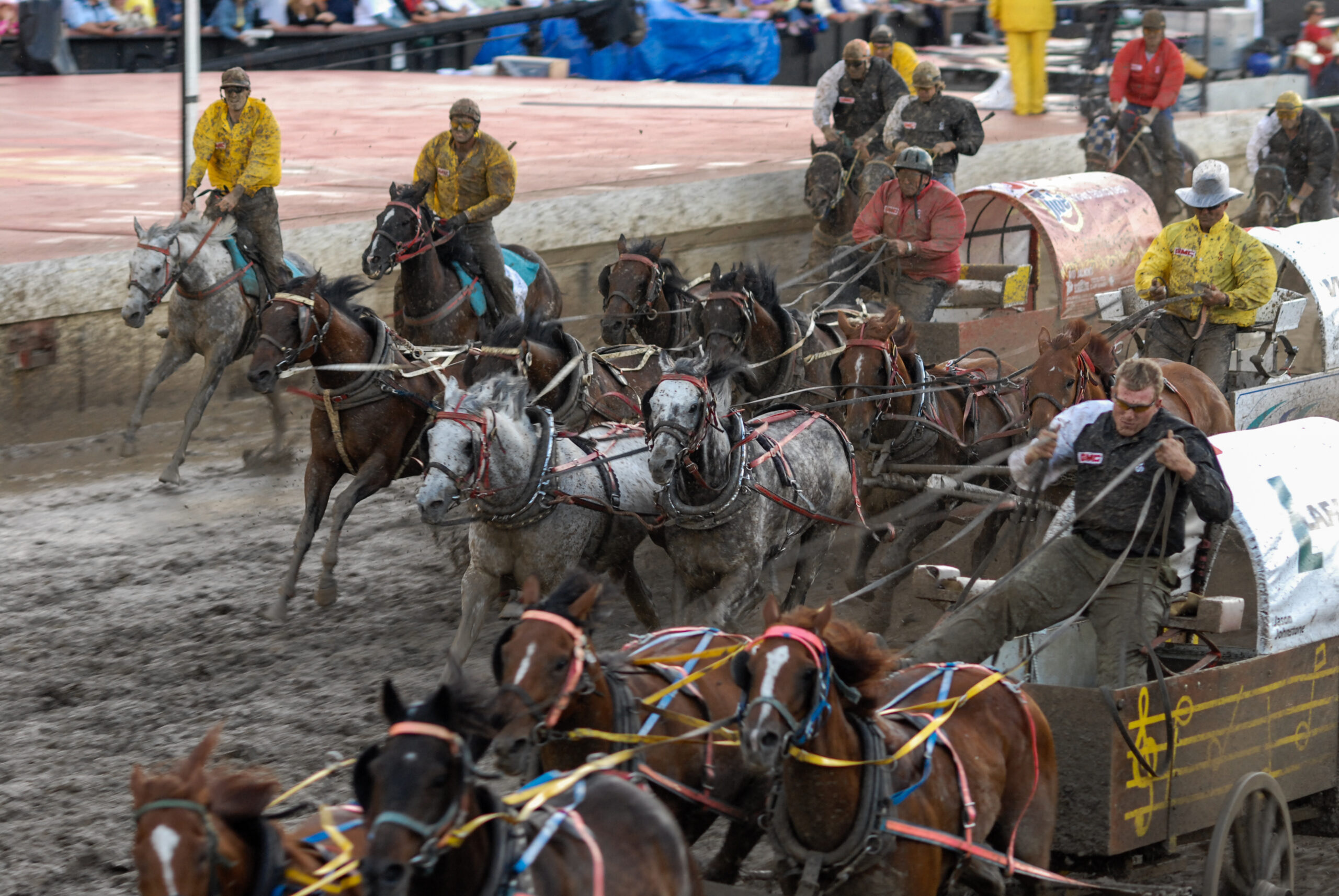 Chuckwagon racing at The Calgary Stampede. Calgary Stampede, Calgary, Alberta, Canada, 2006. Jo-Anne McArthur / We Animals