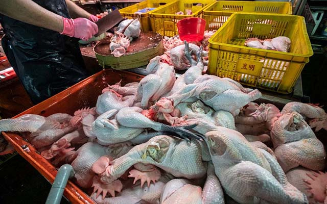 Vendor chops newly-delivered chicken carcasses at a wet market in Taipei.