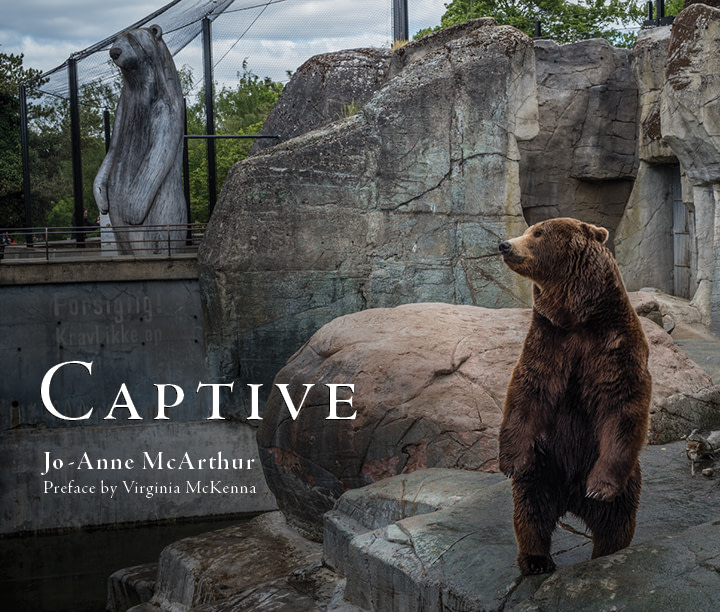 Captive: the Book (2017)