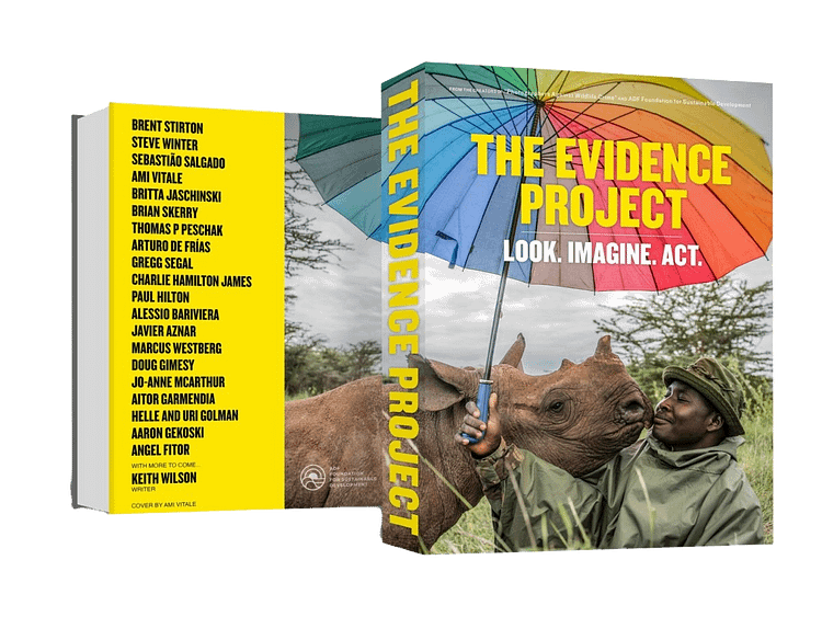 THE EVIDENCE PROJECT is an unmatched collection of powerful images by leading photographers from many countries across the globe. With their images, the Project’s creators and editors aim to produce a book to provide the evidence to call upon governments, lawmakers, businesses, opinion leaders, and consumers to implement the urgent and necessary changes to ensure a safe and sustainable future for all humans and animals. Credit: The Evidence Project / Kickstarter