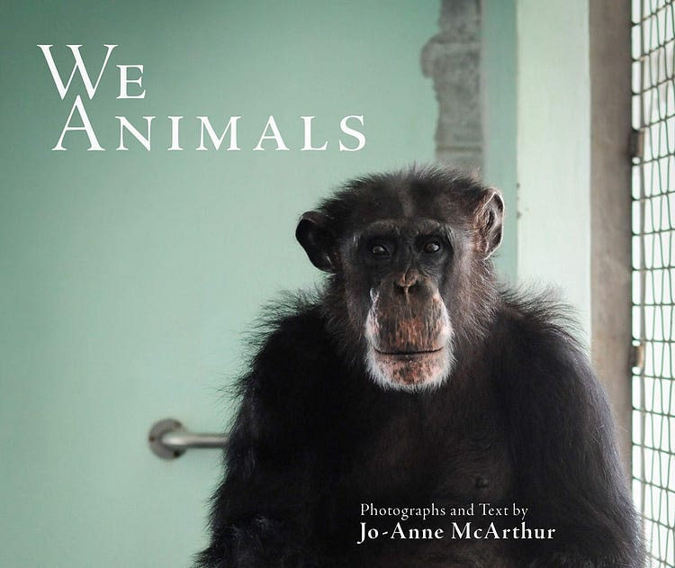 We Animals: 3rd Edition