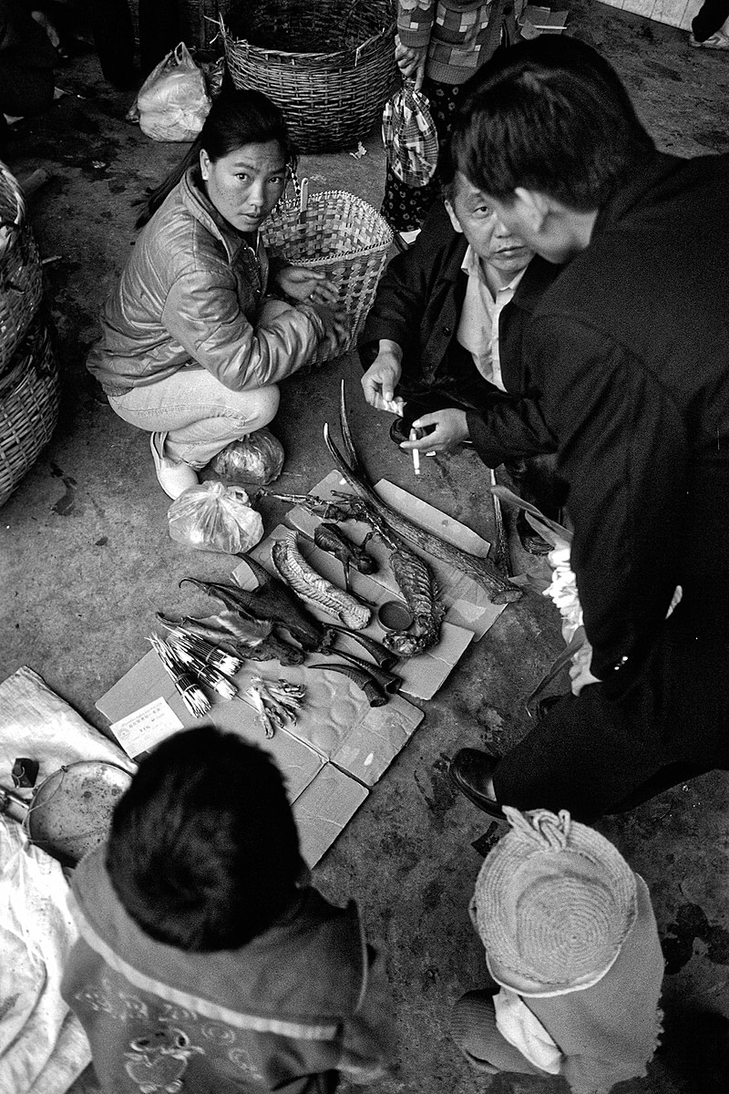 Customers inspect wild animal parts used in traditional medicine at a wildlife market. Myanmar/China, 2010. Adam Oswell / HIDDEN / We Animals