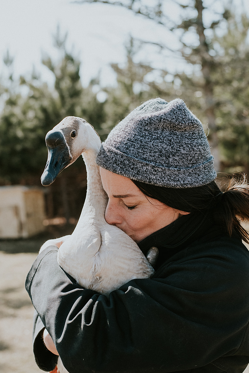Teresa Gangnier, Humane Educator at SAFE, hugs Delilah, a goose she raised from when she was just a few weeks old. Delilah and her sister Daphne were rescued from a foie gras farm. SAFE - Sanctuaire pour animaux de ferme de l'Estrie, Potton, Quebec, Canada, 2022. Jo-Anne McArthur / We Animals