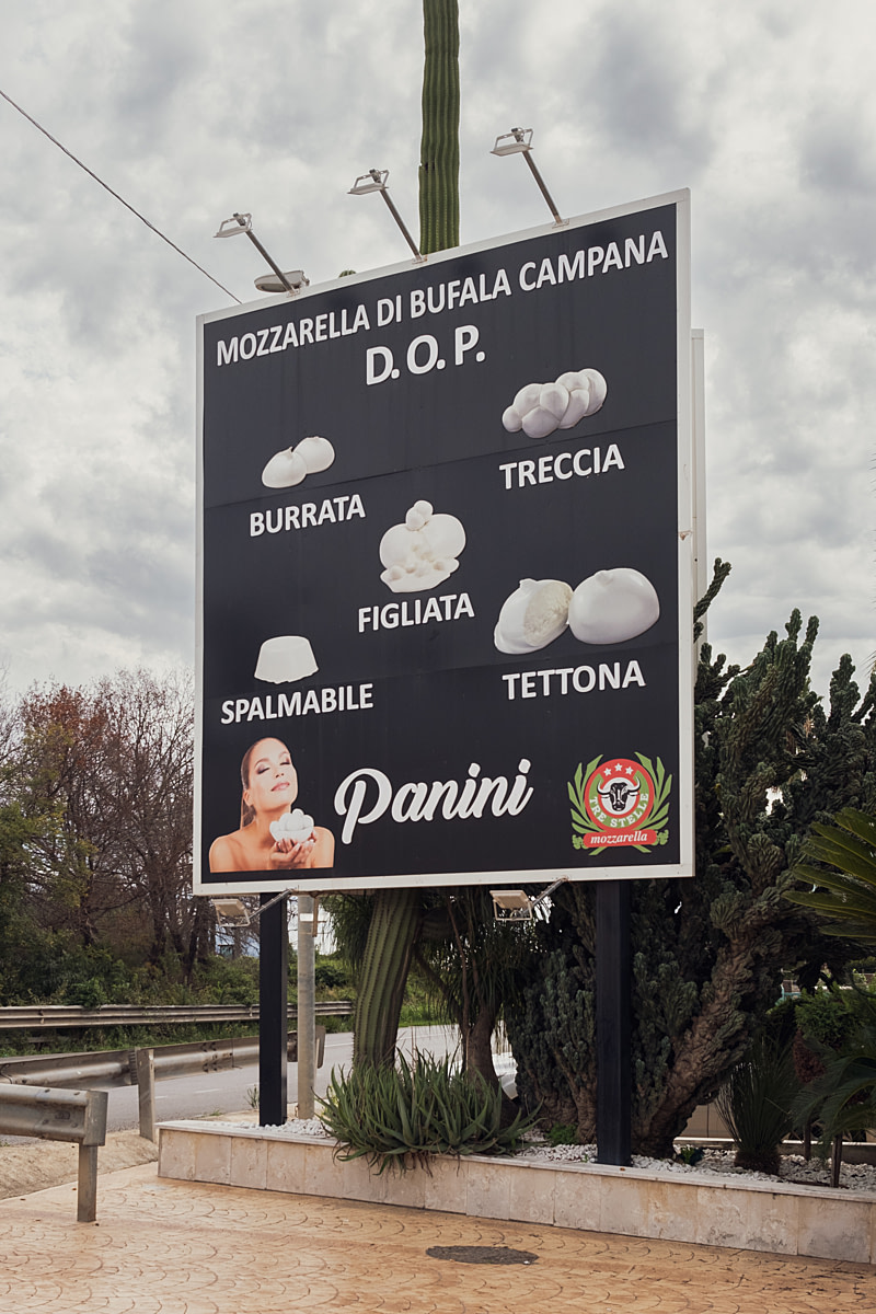 A billboard for Tre Stelle Dairy stands beside a highway, promoting buffalo mozzarella products with names suggestive of motherhood and female anatomy. The dairys wealthy ownership, allegedly enriched by its mozzarella farming business, faced arrest in 2019, accused of using mafia-like intimidation to acquire struggling buffalo farms in the Capaccio and Eboli areas, drawing scrutiny over related assets. Tre Stelle Dairy Shop, Eboli, Salerno, Italy, 2024. Raffaele Petralla / We Animals A billboard for Tre Stelle Dairy stands beside a highway, promoting buffalo mozzarella products with names suggestive of motherhood and female anatomy. The dairys wealthy ownership, allegedly enriched by its mozzarella farming business, faced arrest in 2019, accused of using mafia-like intimidation to acquire struggling buffalo farms in the Capaccio and Eboli areas, drawing scrutiny over related assets. Tre Stelle Dairy Shop, Eboli, Salerno, Italy, 2024. Raffaele Petralla / We Animals