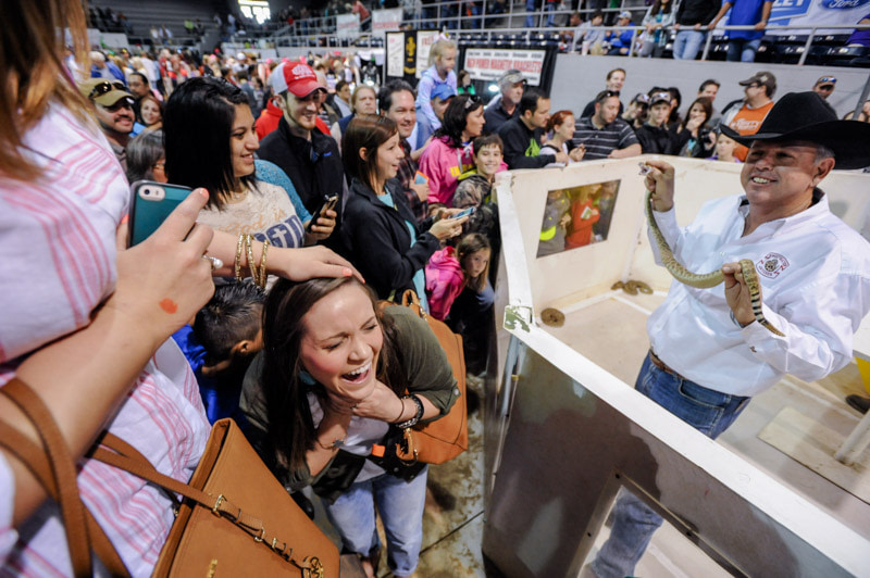 WAM's Senior Fellow Selene Magnolia and Founder Jo-Anne McArthur by our storyboard at the SIPA 2023 exhibition.