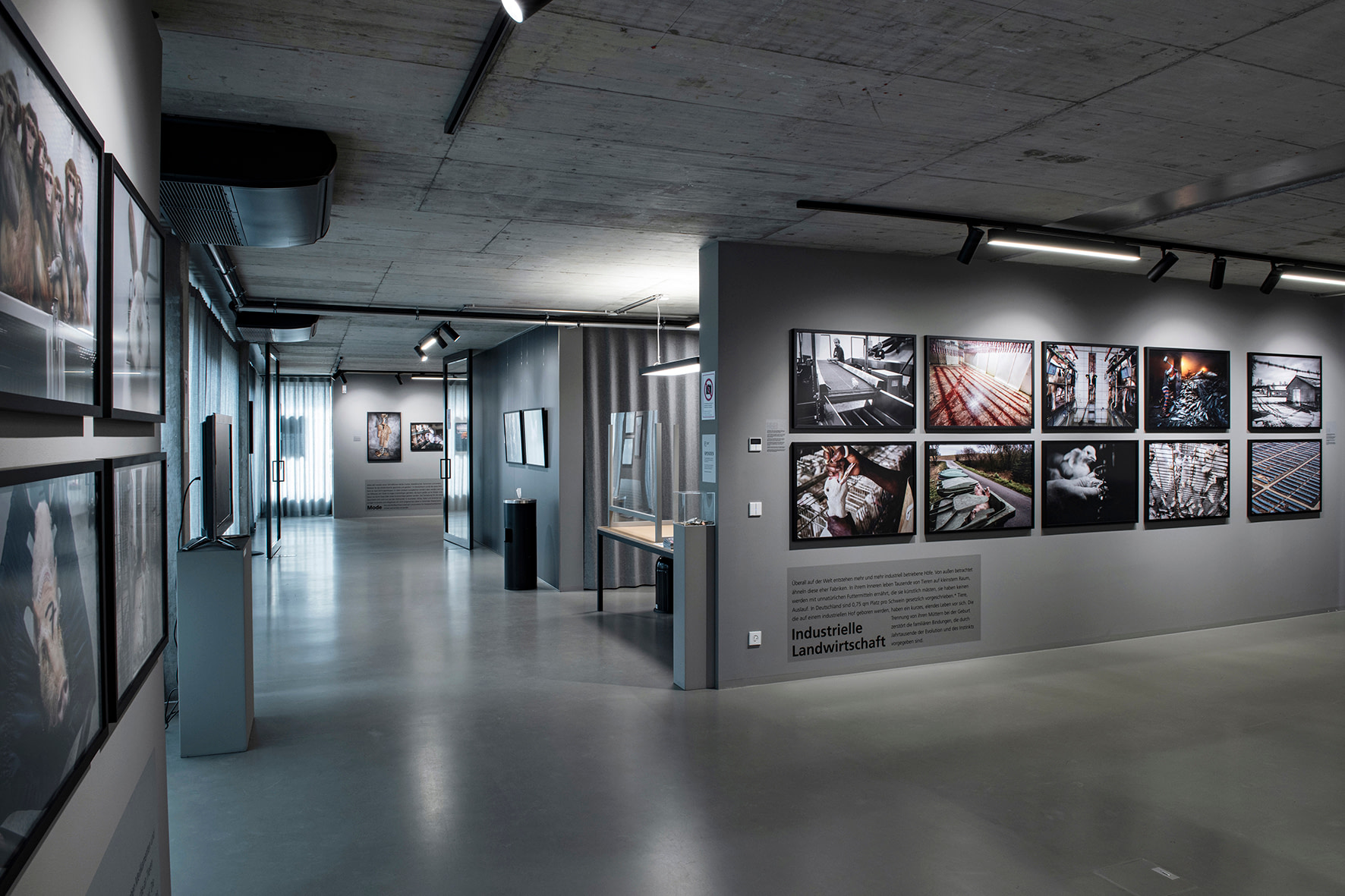 Ausstellung // Exhibition HIDDEN – Tiere im Anthropozän // HIDDEN – Animals in the Anthropocene10. März –24. Mai 2021f3 – freiraum für fotografieWaldemarstr. 1710179 Berlin www.fhochdrei.org // #fhochdrei #HIDDEN