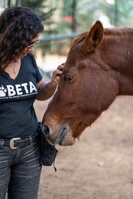 Helena Hesayne from Beirut Ethical Treatment for Animals petting a rescued horse at the shelter in Lebanon.