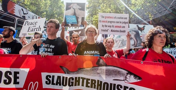 March to End Slaughterhouses. Australia, 2017.
