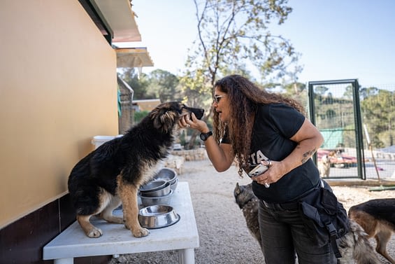 Helena Hesayne from Beirut Ethical Treatment for Animals and a dog who lives at the shelter.