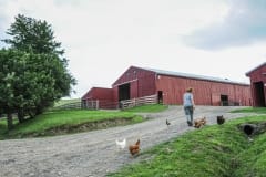 Farm Sanctuary. USA, 2014.