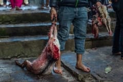 Beheaded animals at Dakshinkali temple. Nepal, 2017.