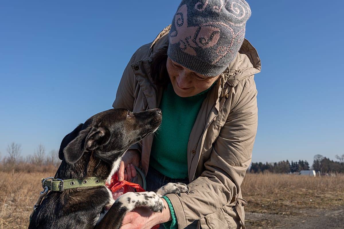 A volunteer plays with a dog during a walk at the Fundacja Centaurus aid camp in Medyka, Poland. Poland, 2022. Thomas Machowicz / We Animals Media