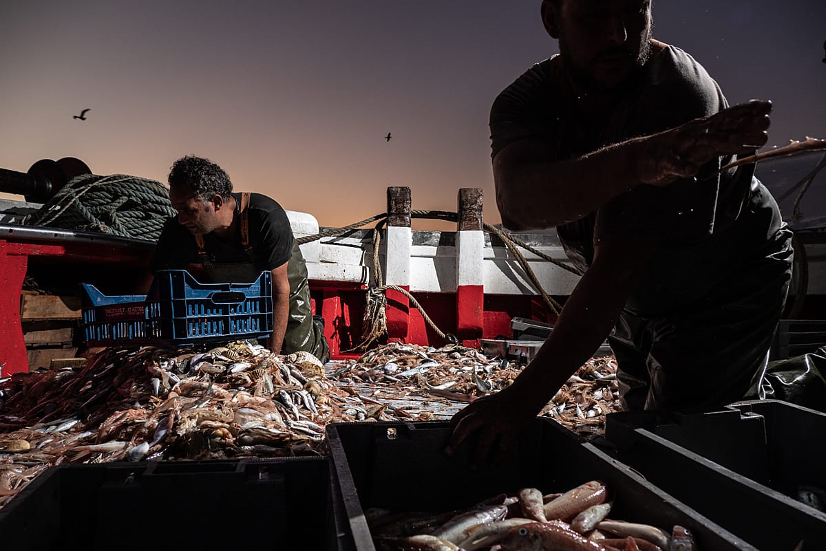 Workers onboard the fishing boat Fasilis sort the catch by type, dividing it between fish with commercial value and useless by-catch. Greece, 2020. Selene Magnolia / We Animals Media Workers onboard the fishing boat Fasilis sort the catch by type, dividing it between fish with commercial value and useless by-catch. Greece, 2020. Selene Magnolia / We Animals Media