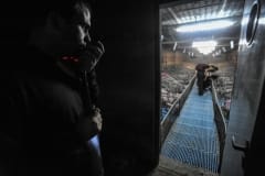 An investigation with Animal Equality at a pig factory farm. Spain, 2009.