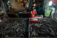 Live catfish are displayed for sale on metal trays at a wet market in Thailand. A vendor hoses out an empty tray in the background.