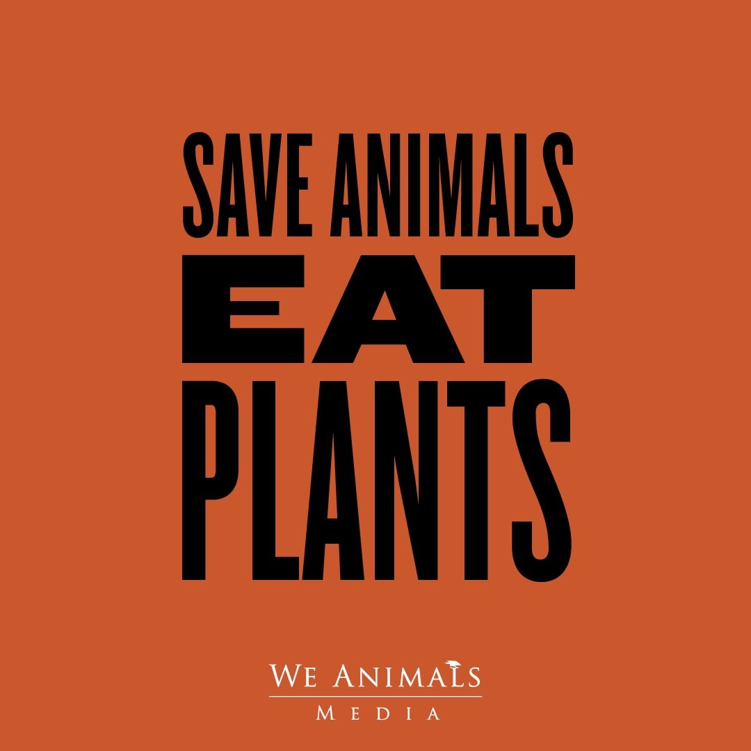 HID_Social-msgs_PLANTS_1080px_20-12-19
