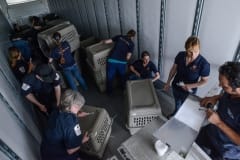 Staff preparing crates for a puppy mill seizure. Canada, 2013.